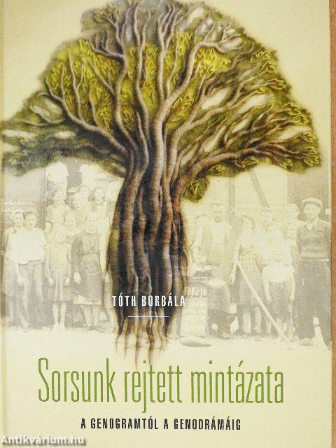 Sorsunk rejtett mintázata