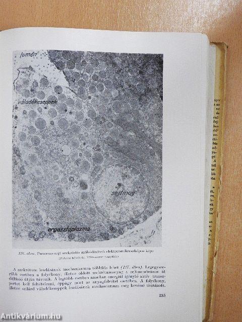 Biológia