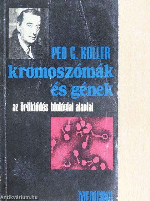 Kromoszómák és gének