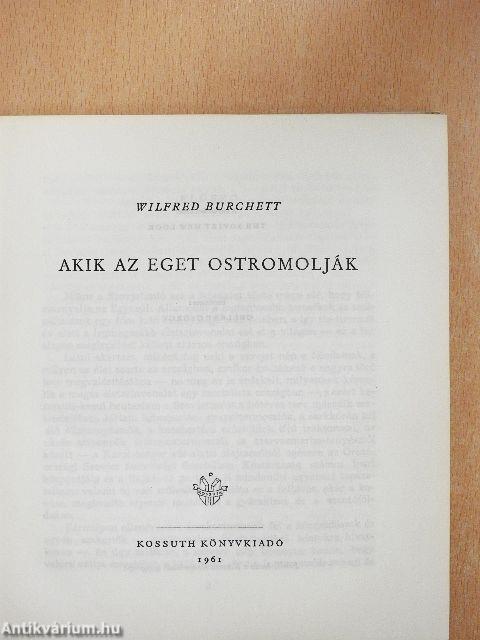 Akik az eget ostromolják