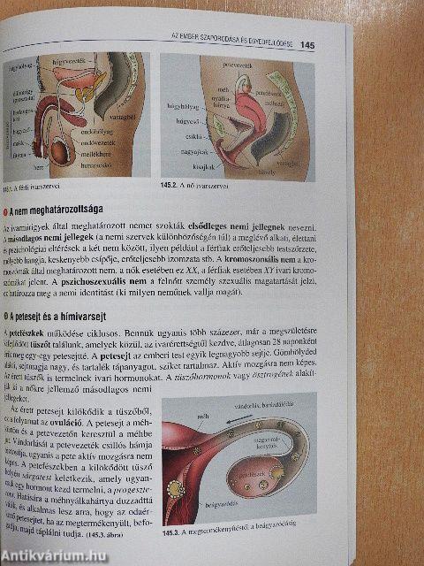 Biológia érettségizőknek 1.