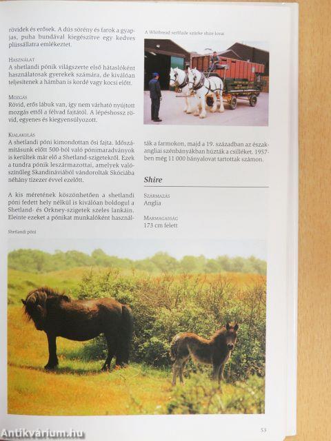 Lovak enciklopédiája