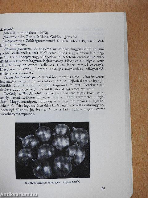 Hagymafélék termesztése