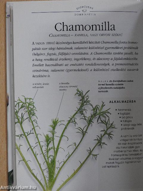 Homeopátia