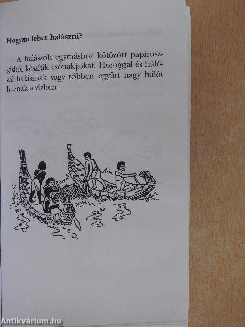A múmia rejtélye