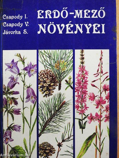 Erdő-mező növényei