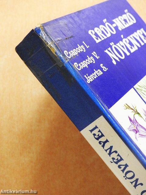 Erdő-mező növényei
