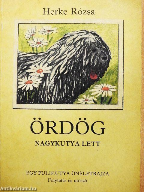 Ördög nagykutya lett