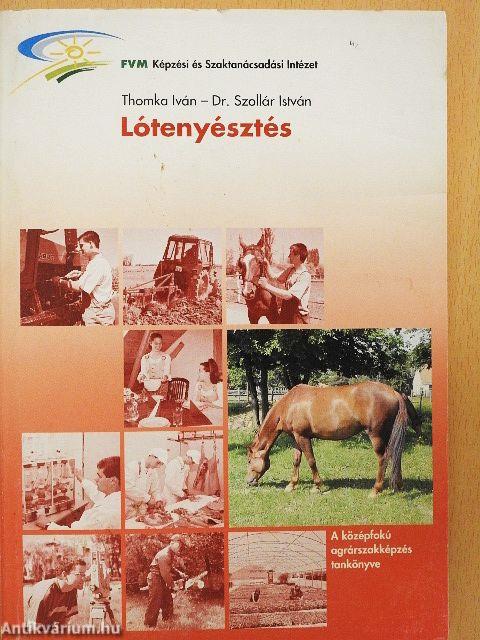 Lótenyésztés