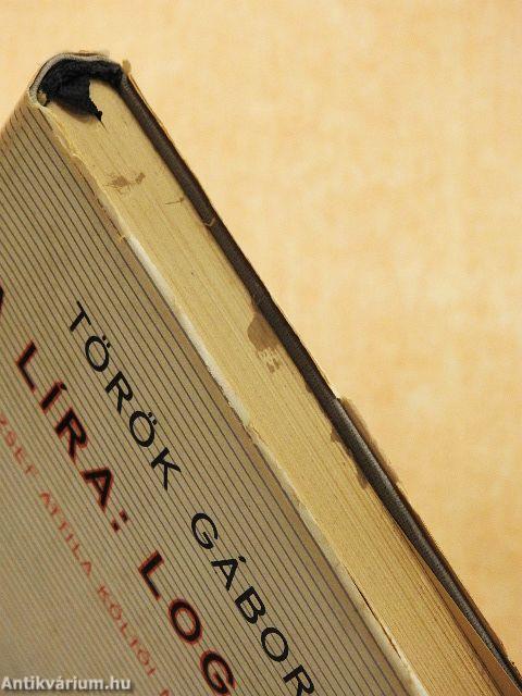 A líra: logika