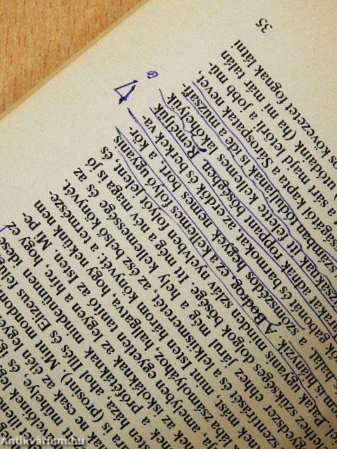 Bibliotheca Comeniana II.
