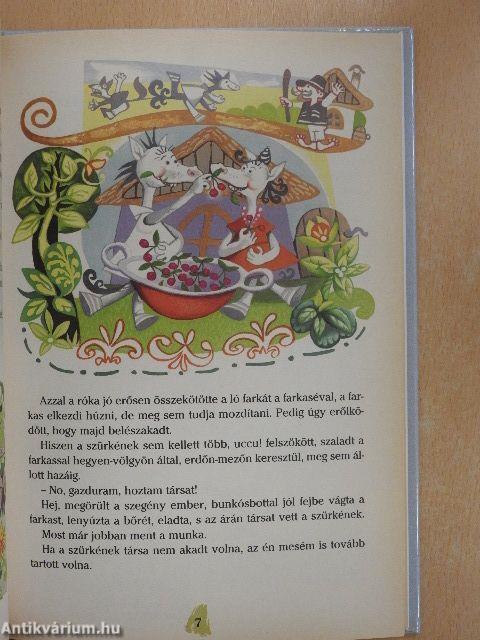 Macskaiskolában