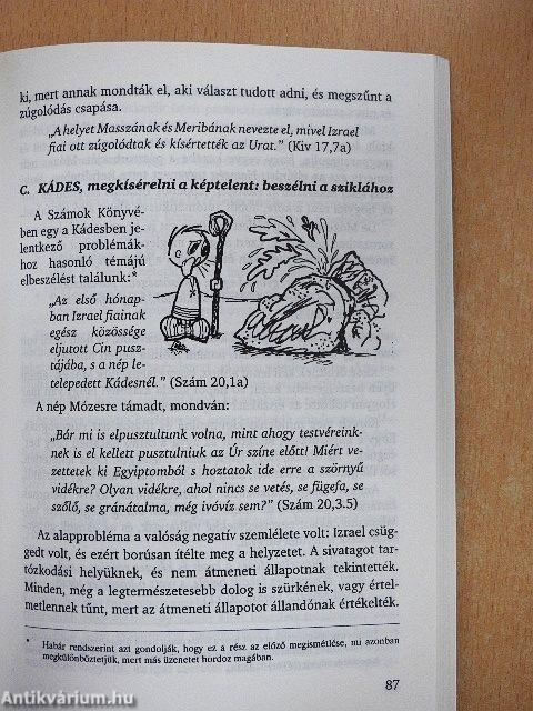 A pusztán túl