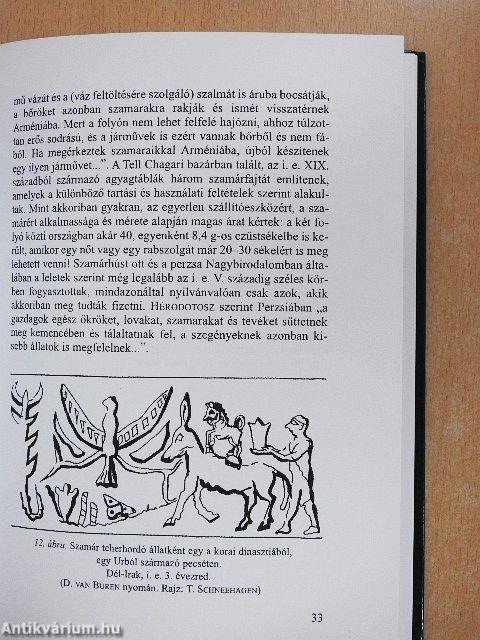 A szamár