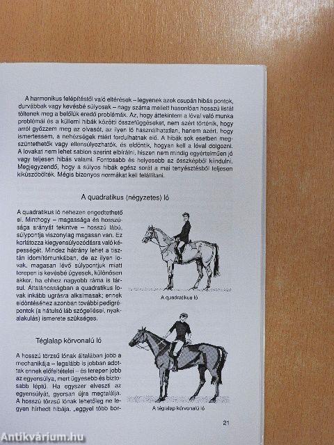 Az elrontott ló utóidomítása
