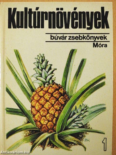 Kultúrnövények 1.