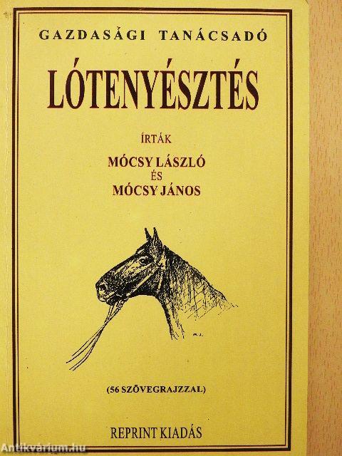 Lótenyésztés