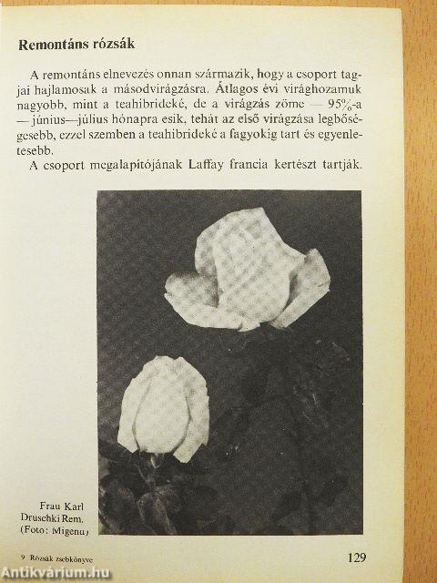 Rózsák zsebkönyve