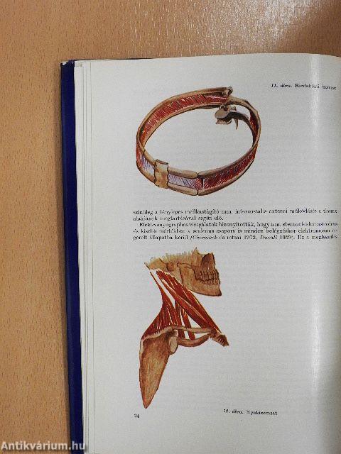 Légzésrehabilitáció