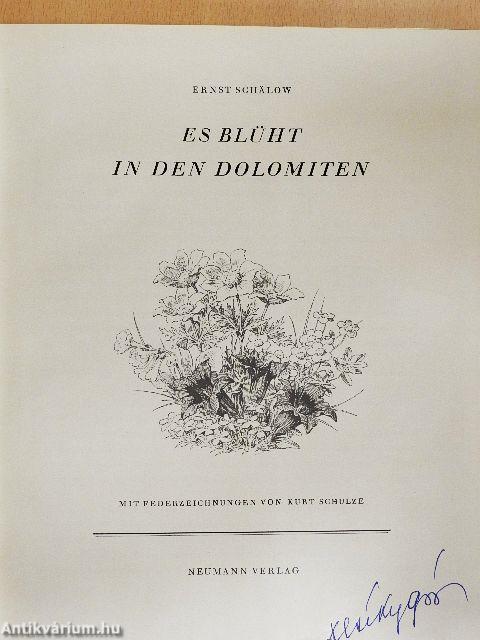 Es Blüht in den Dolomiten