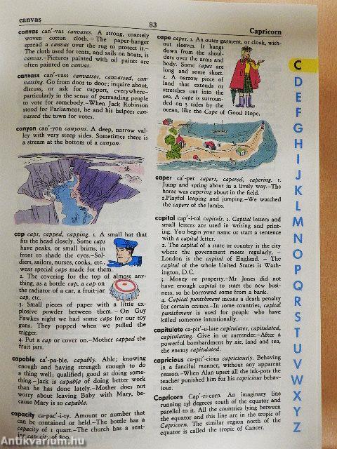 The Giant All-Colour Dictionary