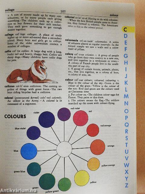 The Giant All-Colour Dictionary