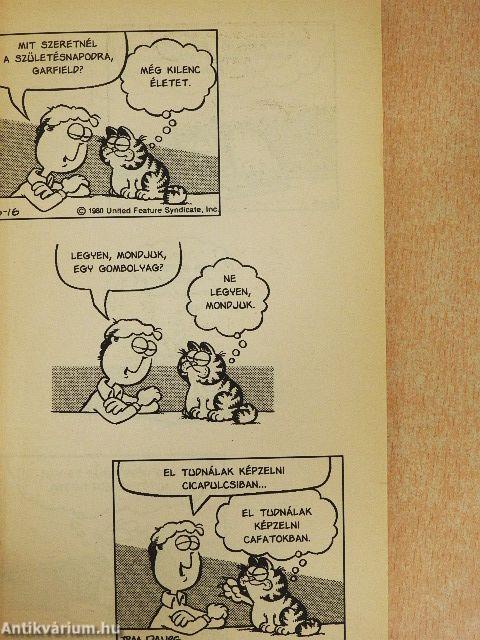 Ideális állás: évi egy munkanap