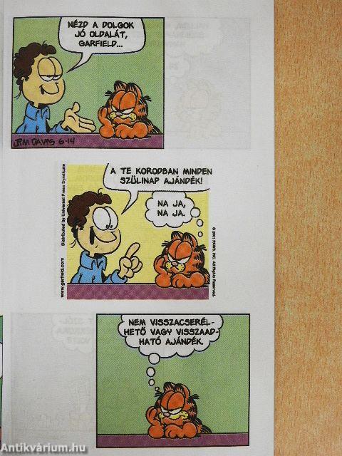 Fátylat a múltra