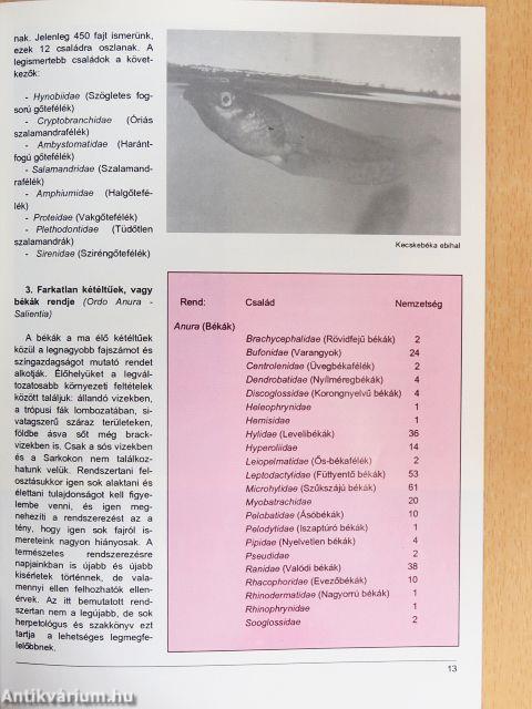 Akvárium Magazin 1994/12.