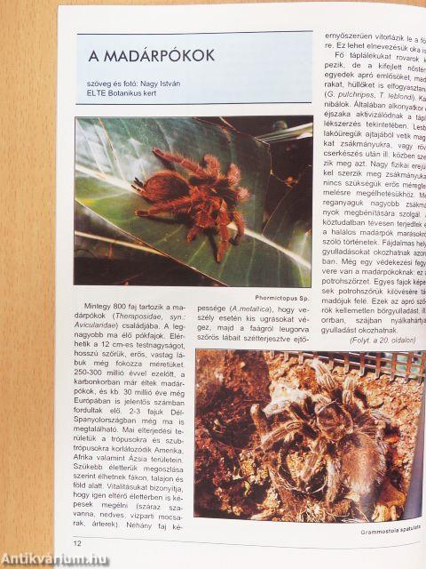 Akvárium Magazin 1994/10.