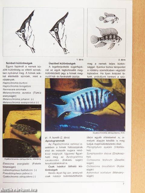 Akvárium Magazin 1995/1-2.