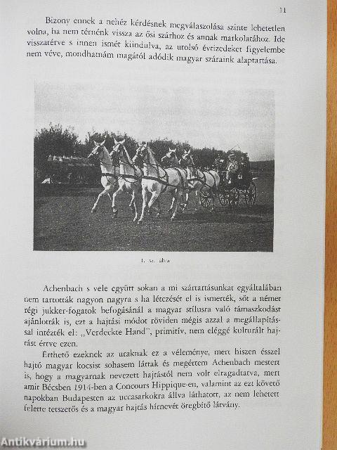 A magyar kocsizás