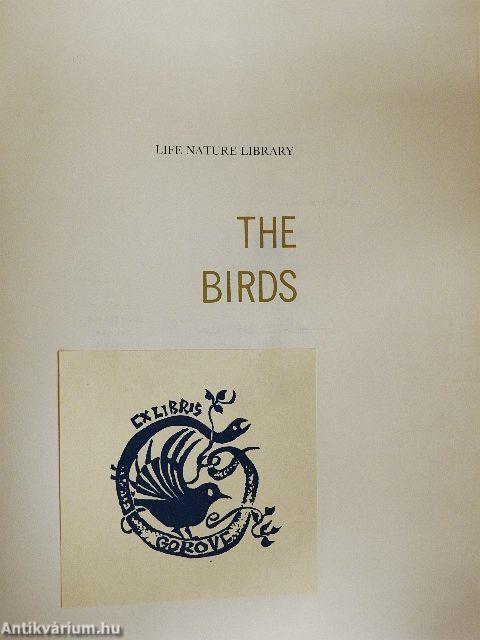 The Birds