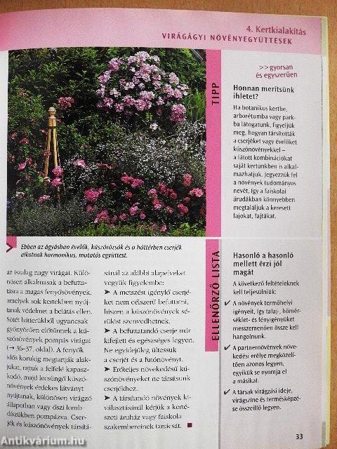 Kúszónövények