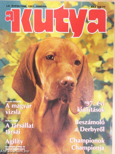 A Kutya 1997. január