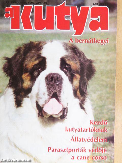 A Kutya 1997. április