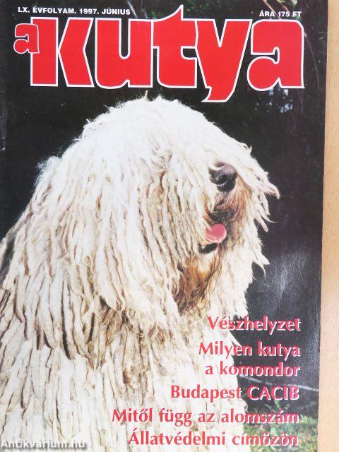 A Kutya 1997. június