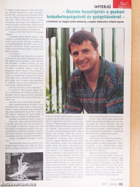 A Kutya 1997. június