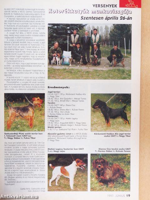 A Kutya 1997. június