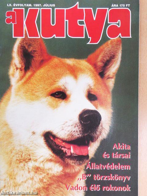 A Kutya 1997. július