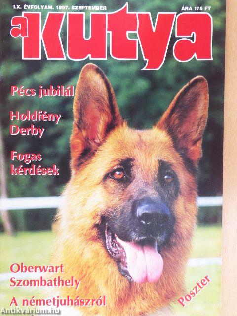 A Kutya 1997. szeptember