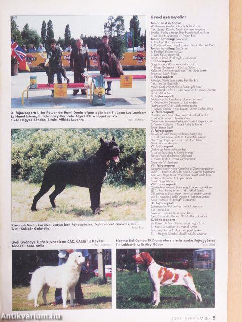 A Kutya 1997. szeptember