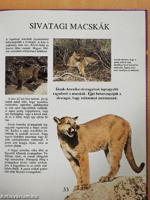 Sivatagok