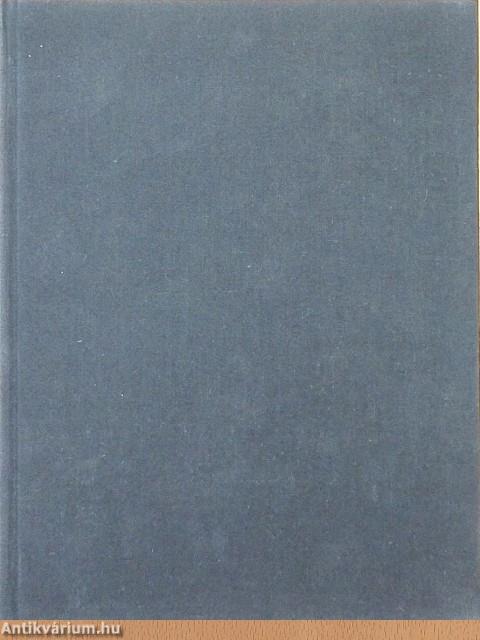 A látás nyelve
