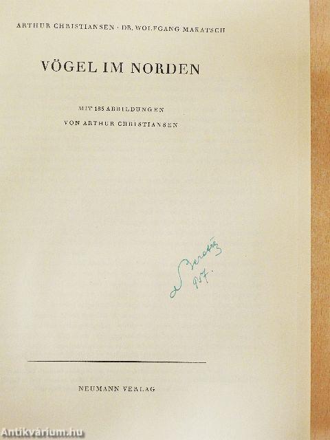 Vögel im Norden