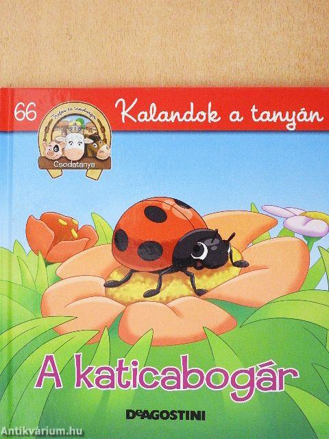 A katicabogár