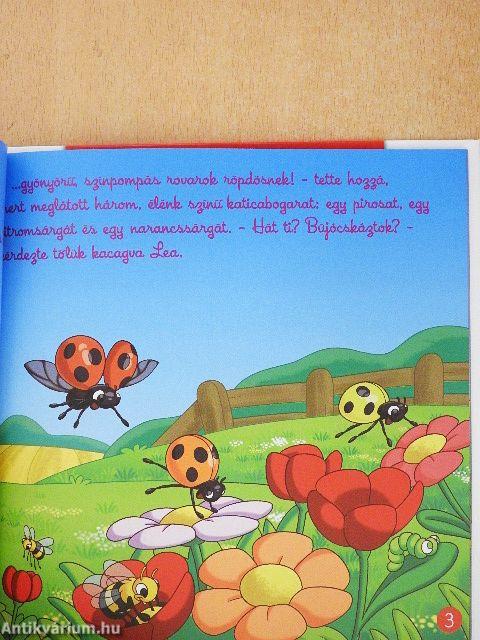 A katicabogár