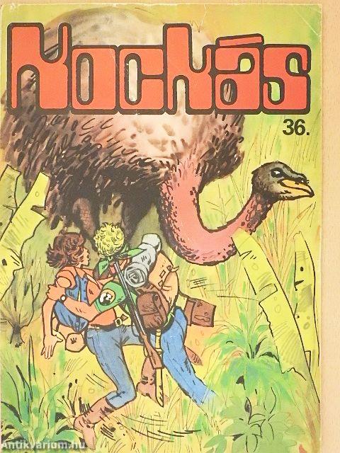 Kockás 36.