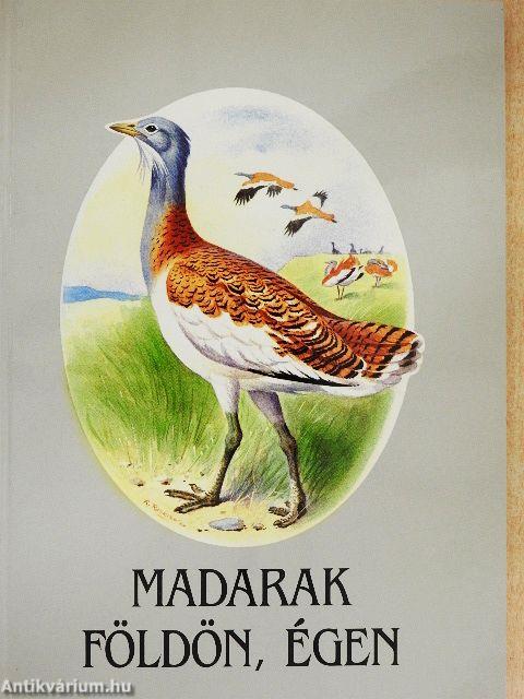Madarak földön, égen