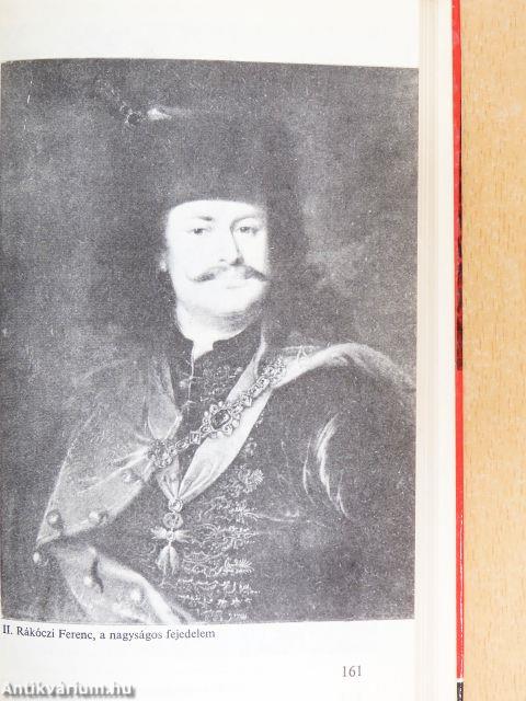 A nagyságos fejedelem